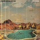 Young Gun Silver Fox / Pleasure (CD, 日本盤, 2025年)