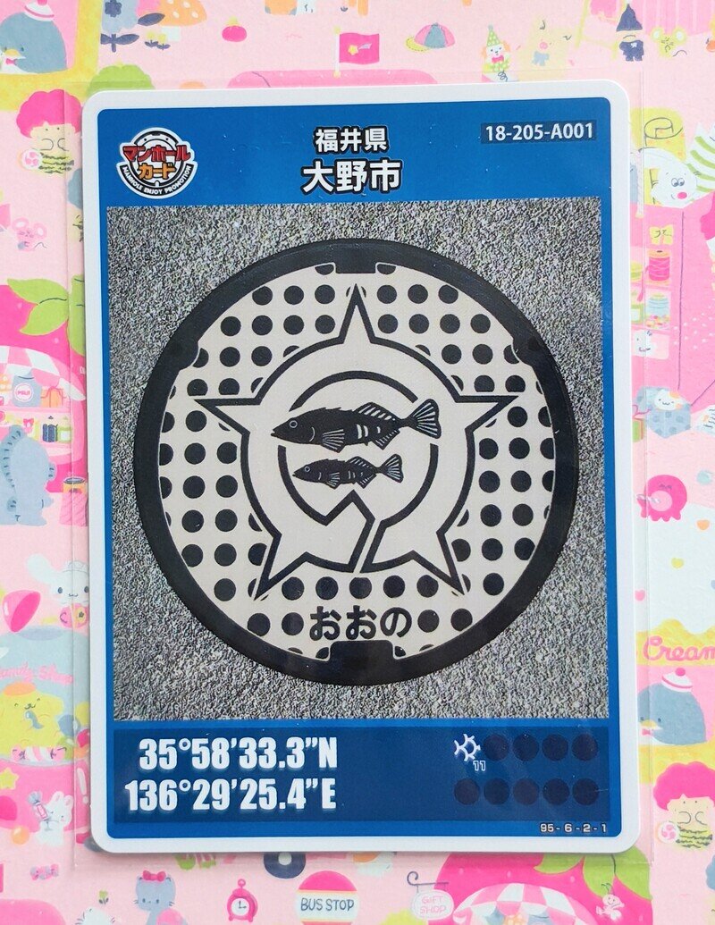 福井県大野市A001