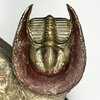 Lioharpes sp.