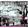 3001　生写真
