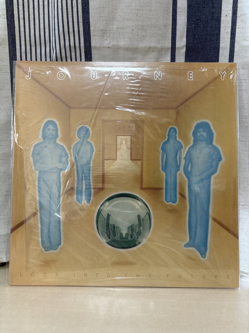 Journey/Look into the Future