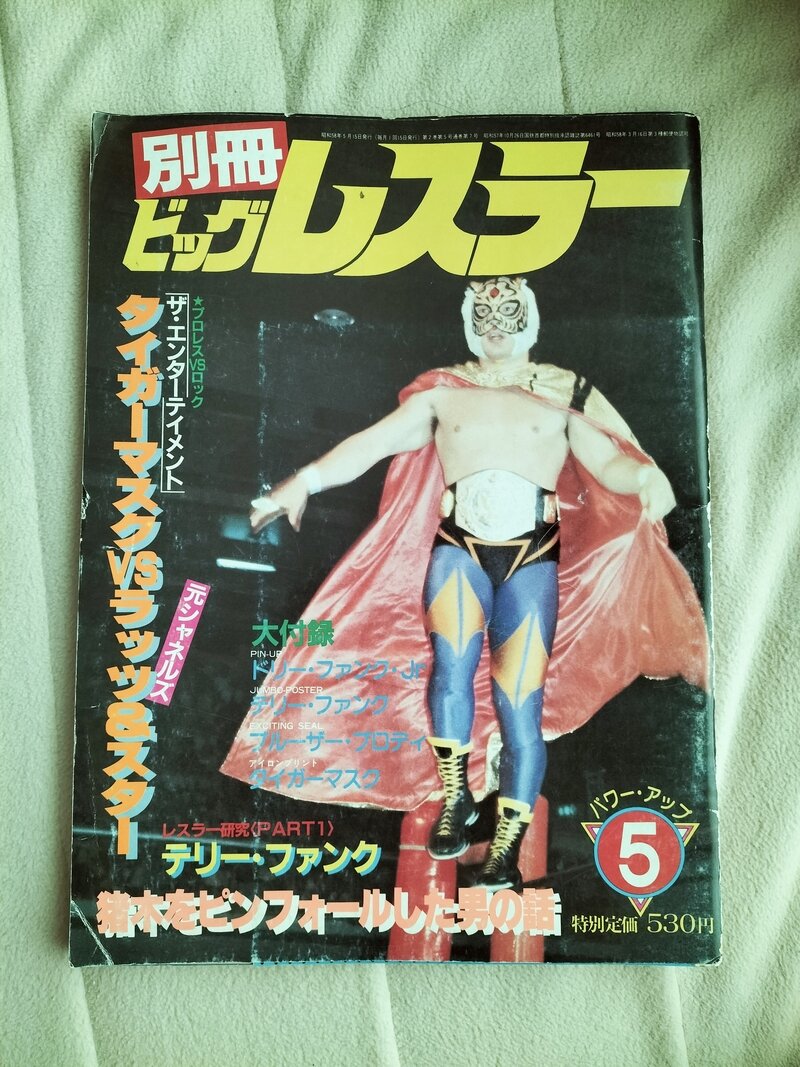 雑誌【別冊ビッグレスラー】