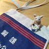 ミニショルダーバッグ　まけかけたるざけ