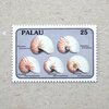 1988 Palau オウムガイの切手