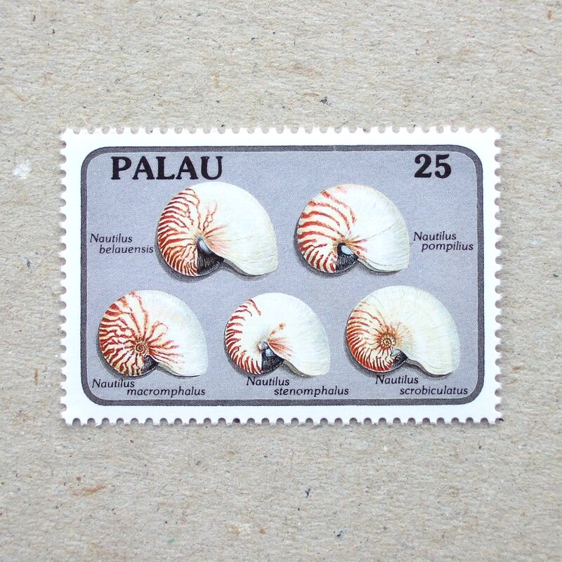 1988 Palau オウムガイの切手