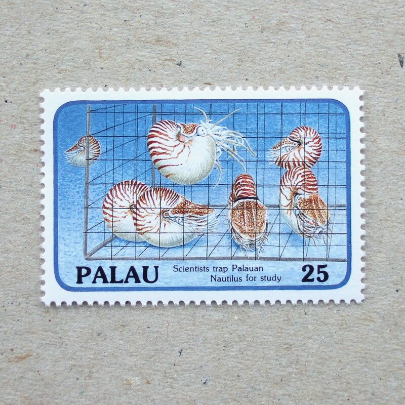 1988 Palau オウムガイ調査の切手