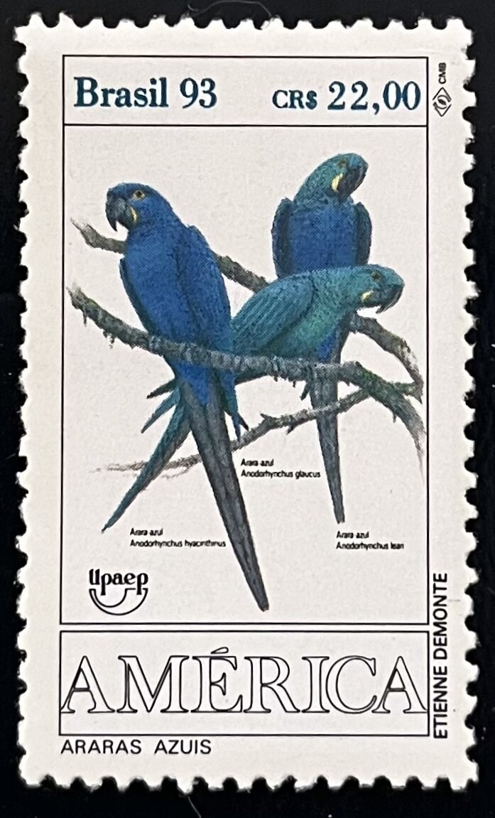 Hyacinth Macaw (Anodorhynchus hyacinthinus) (Mi:BR 2548)