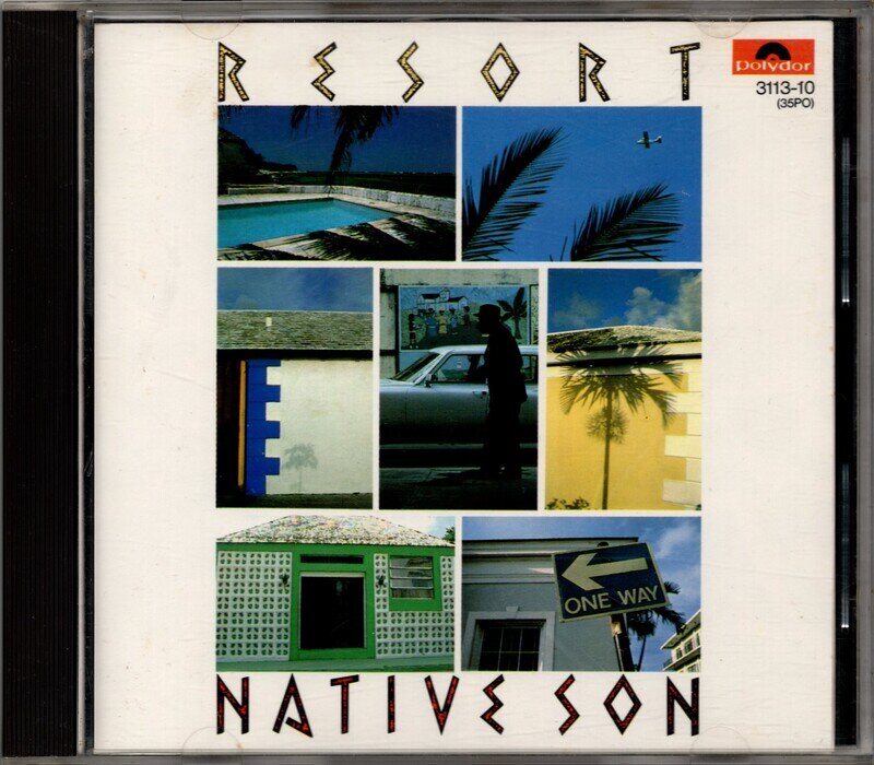 RESORT(1983) / NATIVE SON / 3113-10(35PO) (1983)