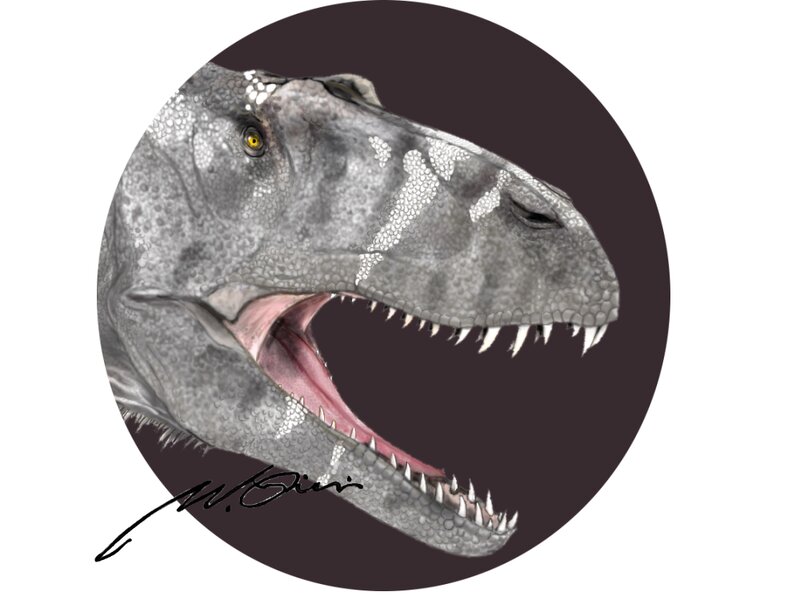 140  　サウロンの目　　サウロニオプス　Sauroniops