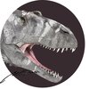 140  　サウロンの目　　サウロニオプス　Sauroniops