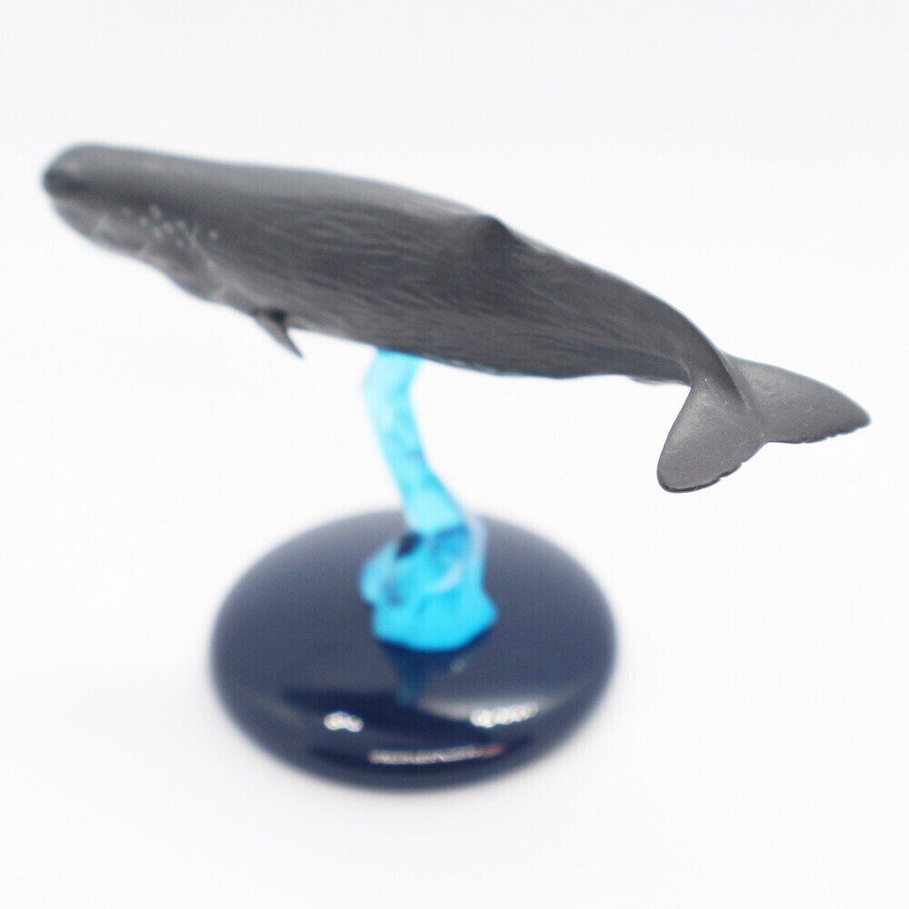 マッコウクジラ 【NT400】 展示中 in Museum of ksynceo009