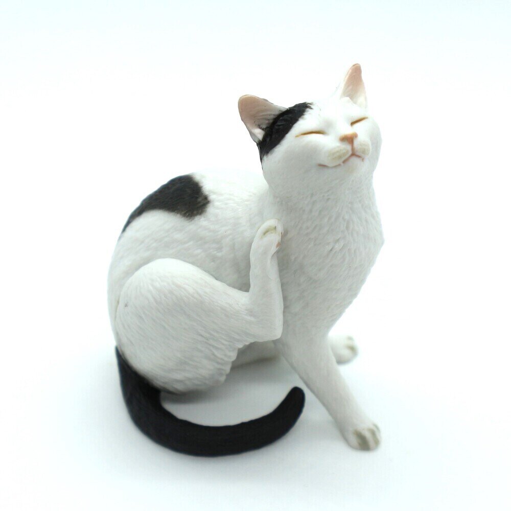 修正作品　プカプカ猫 ネコ 【森口修の猫】 展示中 in Museum of ksynceo009