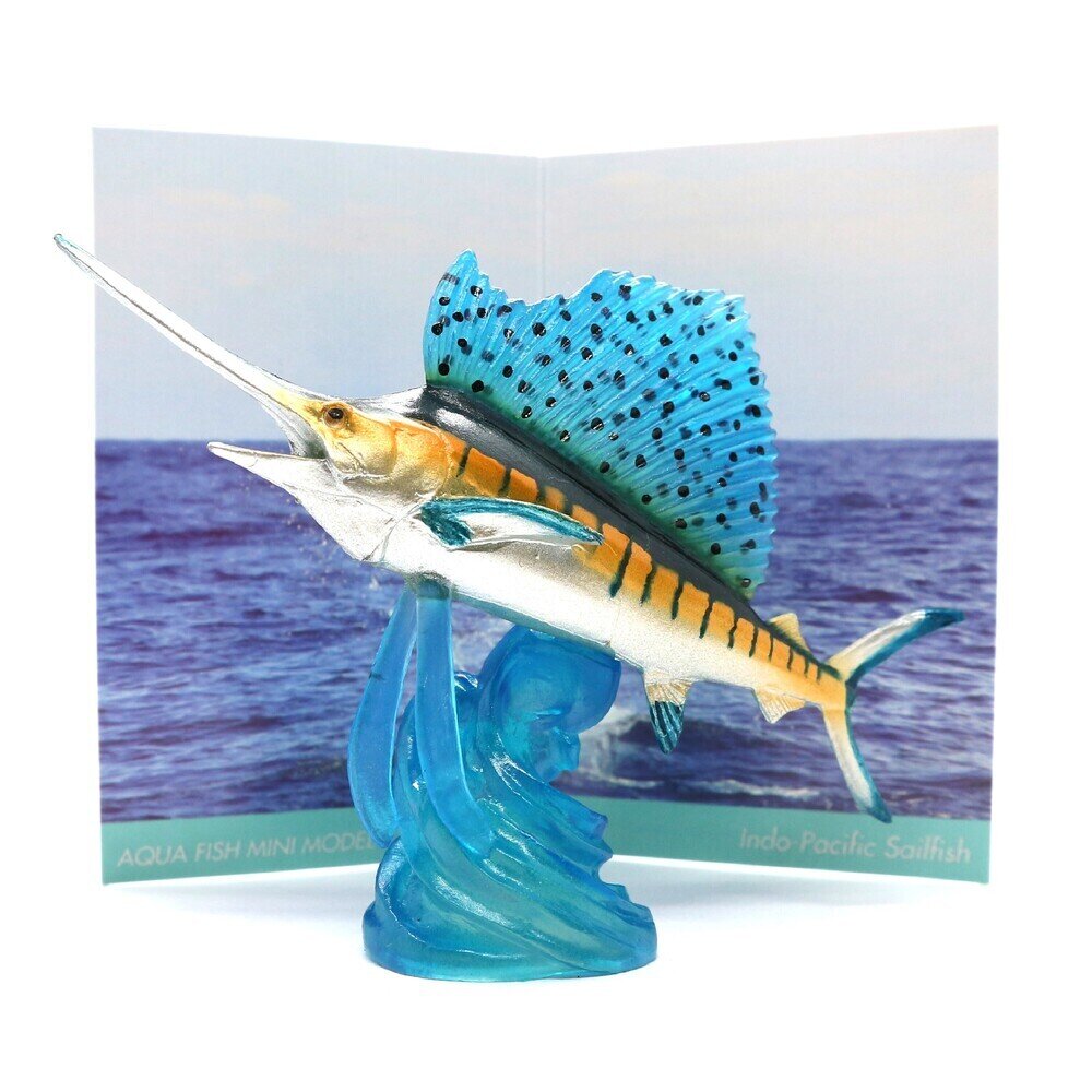 バショウカジキ 【AQUA FISH】 展示中 in Museum of ksynceo009