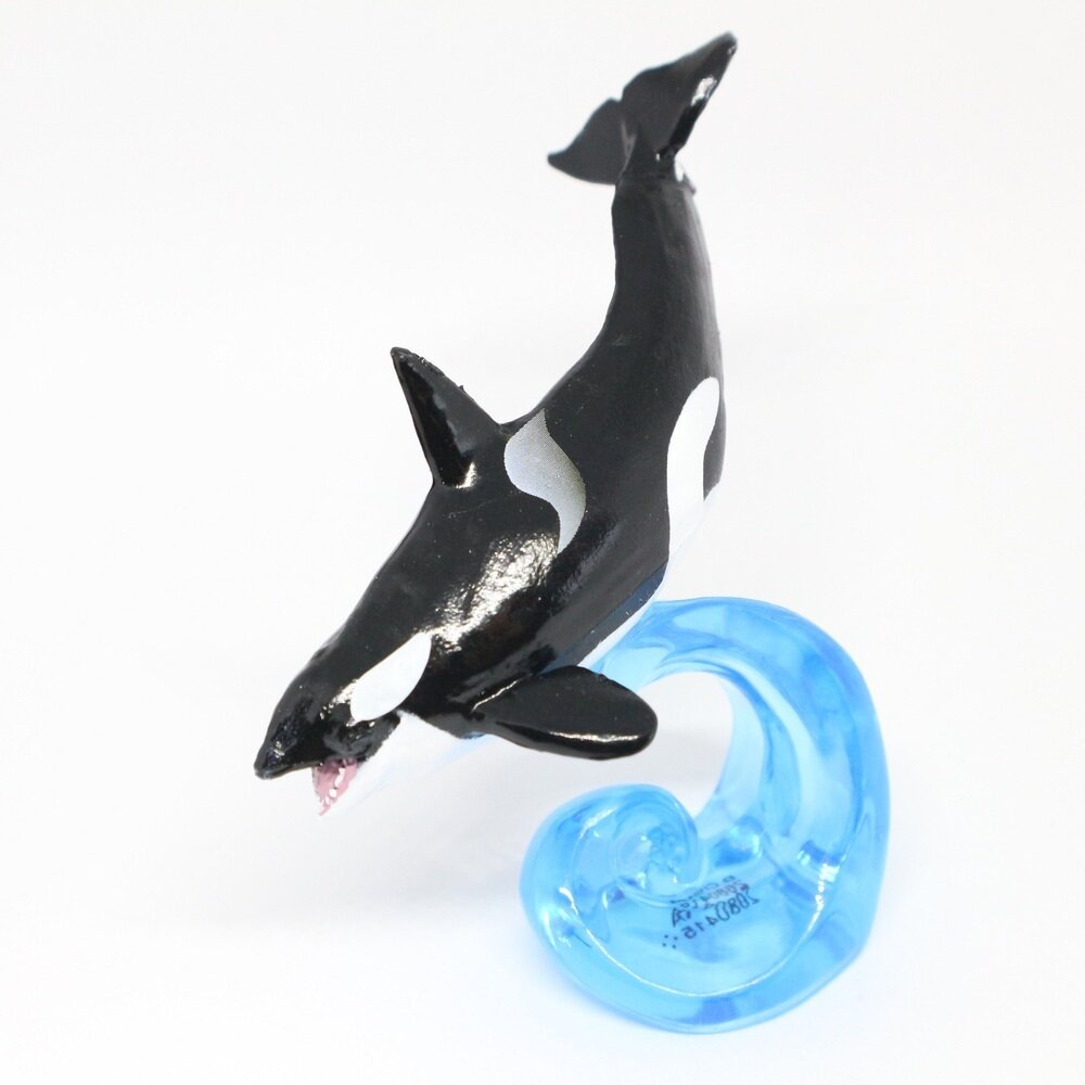 シャチ 歯 牙 希少品 骨董品 クジラ イルカ ハンドメイド