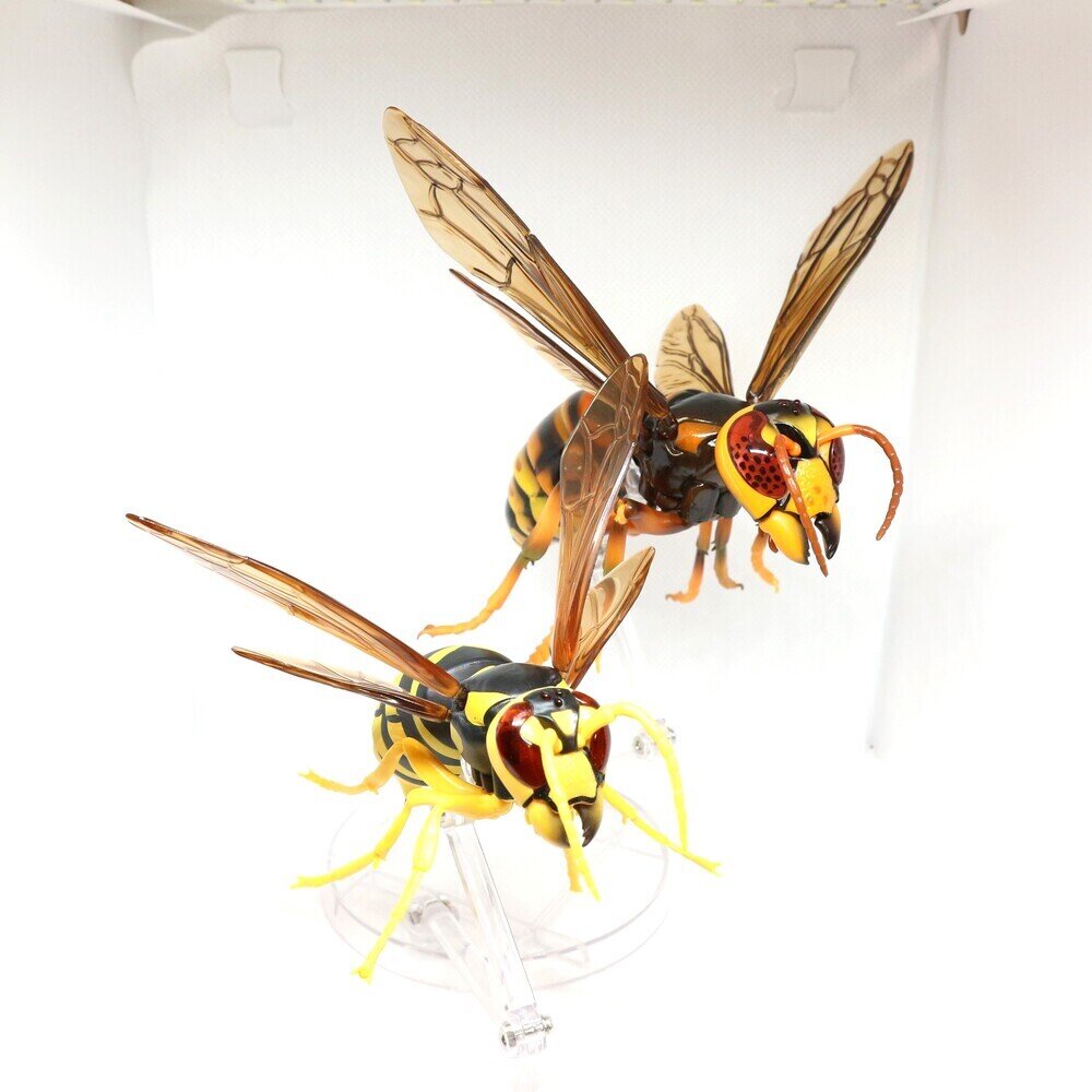 スズメバチの科学 81G1apamIdL._UF350,350_QL50_.jpg