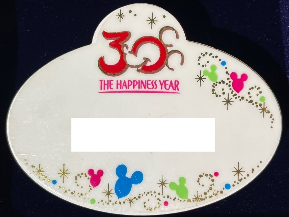 2013年〜2014年 東京ディズニーランド 30周年 キャスト