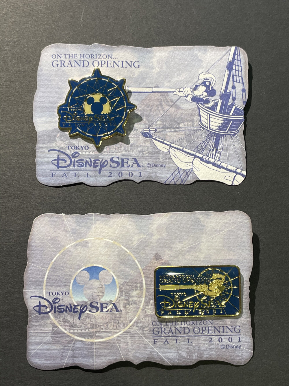 2001年1月発売 東京ディズニーシー ピンバッジ 展示中 in Museum