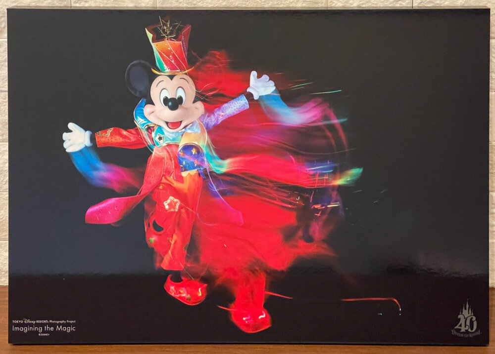 レア ディズニー イマジニングザマジック アート パネル 魚眼レンズ