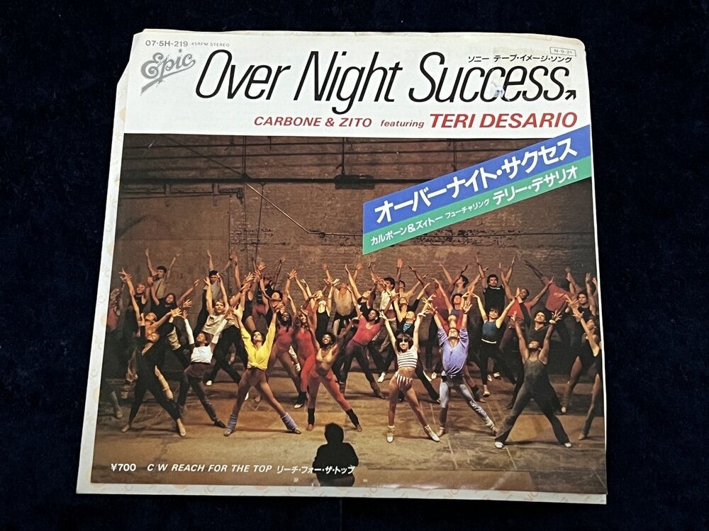 テリー・デサリオ「オーバーナイト・サクセス」1984年 展示中 in