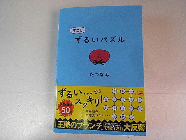 すこしずるいパズル