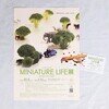 田中達也 見立ての世界　MINIATURE LIFE展　入場当日券(半券)／フライヤー