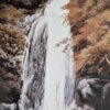 「超絶技巧！明治工芸の粋」展　フライヤー